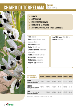 CHIARO DI TORRELAMA Favino