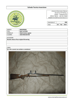 Scheda Tecnica Inserzione