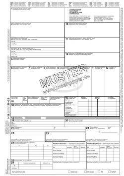 CMR Frachtbrief online Vorlage PDF Muster