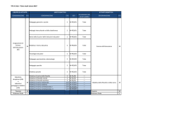 Percorso didattico