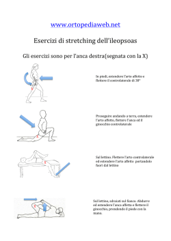 E` possibile consultare e scaricare il manuale con il