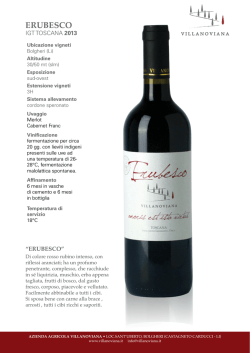 ERUBESCO - Villanoviana