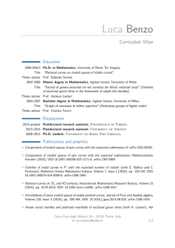 CV for Luca Benzo