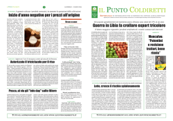 Il Punto Coldiretti 7