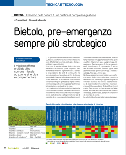 Bietola, pre-emergenza sempre pi&ugrave; strategico