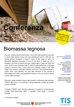 Scarica il documento