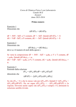 (dF/dT)V - Dipartimento di Chimica