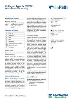 Collagen Type IV (CIV22) - Menarinidiagnostics.com