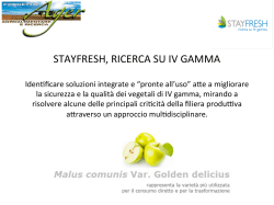 STAYFRESH, RICERCA SU IV GAMMA - stayfresh
