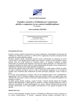 Il giudice onorario e il tribunale per i minorenni: attivit&agrave; e