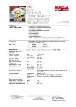 5048 (CONV.P48) PUR INDUSTRIALE I.E. 02.13