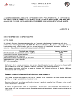 Specifiche tecniche ed organizzative [file]