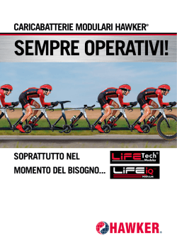 CARICABATTERIE MODULARI HAWKER&reg; - EnerSys