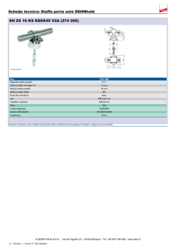 Staffa porta aste DEHNhold SH ZS 16 KS KD8X40 V2A (274 260)