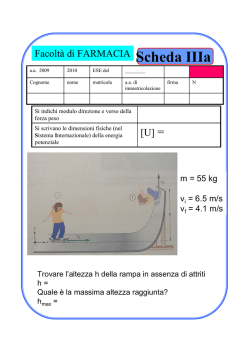 Scheda III - Dipartimento di Fisica