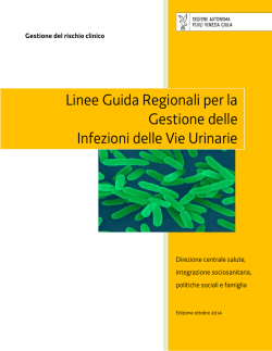 LG IVU - Regione Autonoma Friuli Venezia Giulia