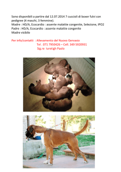 Sono disponibili a partire dal 12.07.2014 7 cuccioli di