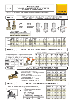 Microvalvole - Valvoind Valvole Industriali Srl