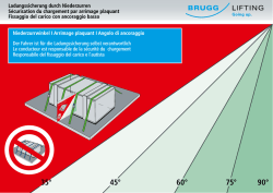 Immobilizzazione del carico - DE/FR/IT (707 KB)