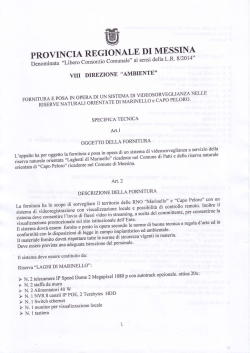 Specifica tecnica fornitura impianto videosorveglianza R.N.O.