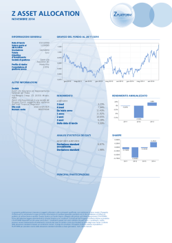 Z ASSET ALLOCATION