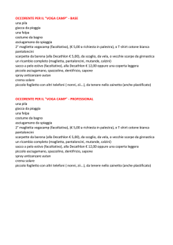 il volantino