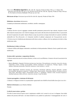 L`idea &egrave; anche quella di