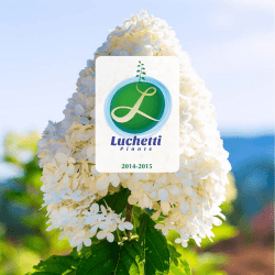 Sezione del controllo sugli enti - Delibera n. 22