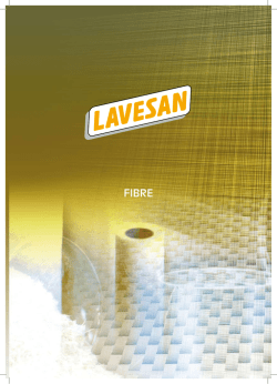 I CENTRI PER L`IMPIEGO DELLA CITTA` METROPOLITANA DI