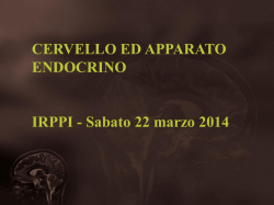 GUERRA E PACE - I.C. Monte Zebio