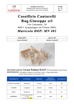 Locandina - Arcidiocesi di Lucca