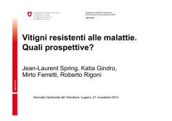 Look Homeward, Angel