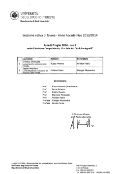 Lara the Black Cat Fairy