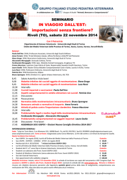 Locandina Torrentismo_2015