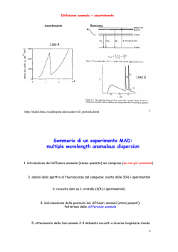 14&deg; MEMORIAL ALESSANDRO BARGELLINI