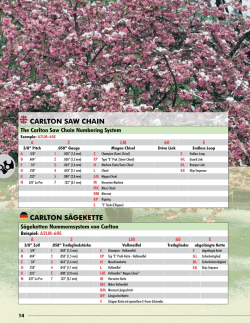 Les cardinaux, avril 2015