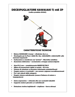 DECESPUGLIATORE KAWASAKI TJ 45E ZP