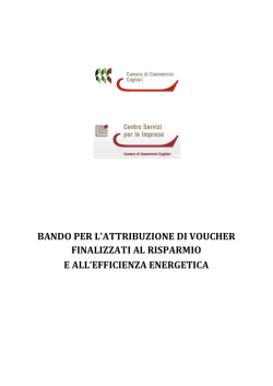 Bando voucher_accordo di programma MISE-UC 2012