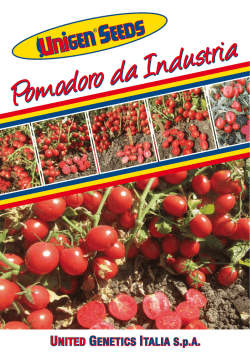 Clicca qui per scaricare il catalogo pomodoro da