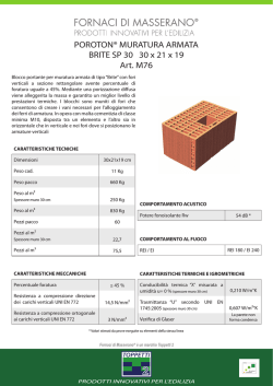 POROTON&reg; MURATURA ARMATA BRITE SP 30 30 x 21