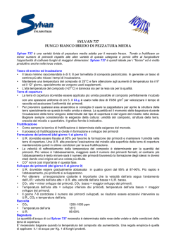 SYLVAN 737 FUNGO BIANCO IBRIDO DI PEZZATURA MEDIA