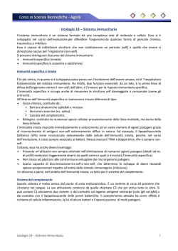 Istologia 18 - Sistema immunitario