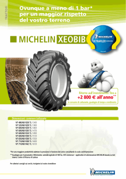 MICHELIN-Xeobib-IT-2014