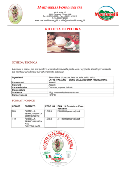 ST RICOTTA DI PECORA - Martarelli Formaggi