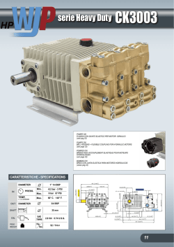 CK3003 - Bertolini Pumps