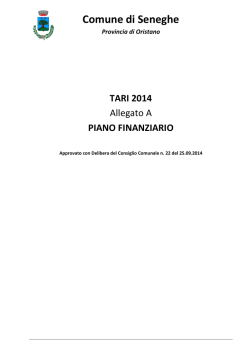 PIANO FINANZIARIO TARES 2013