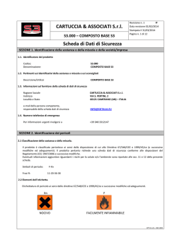 Scheda di dati di sicurezza S3 Composto Base