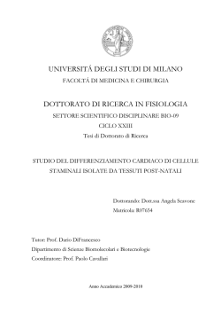CELLULE STAMINALI