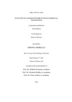 SIMONA MORELLO - ETH E