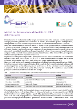 Metodi per la valutazione dello stato di HER-2 Roberto Fiocca